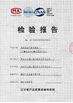 China GUANGDONG JIAYING IMPORT AND EXPORT CO., LTD Certificações